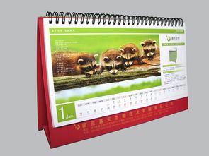 南京珠江路平面設(shè)計(jì)與廣告服務(wù)公司 專業(yè)的代理代辦解決方案