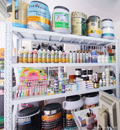 專業(yè)代理，創(chuàng)意設(shè)計(jì)——森煌寵物用品有限公司，您的最佳商業(yè)伙伴